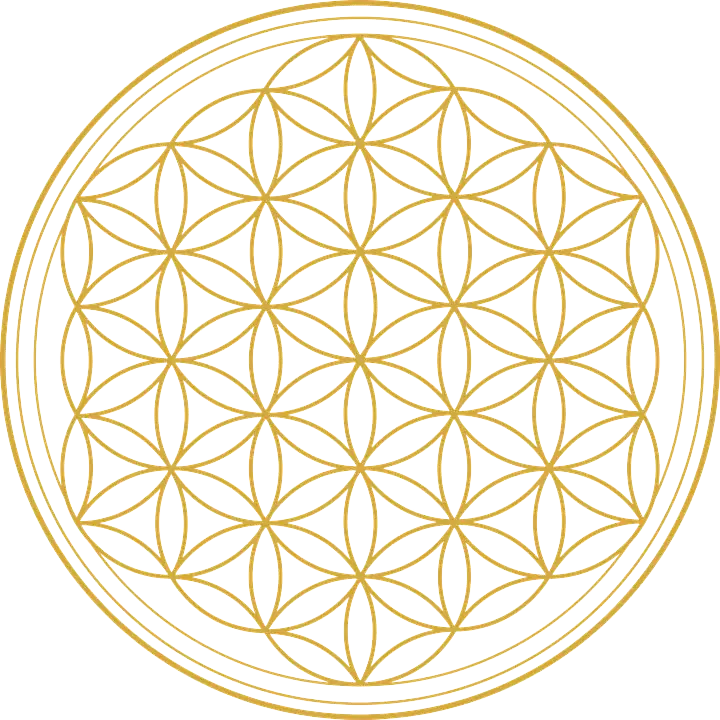 2e1db8c0-7c69-4675-99ee-20625fba5b84